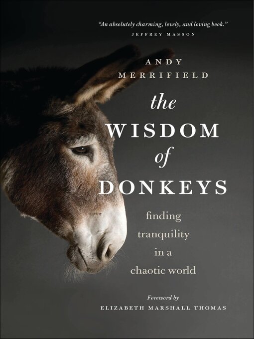 Cover image for The Wisdom of Donkeys